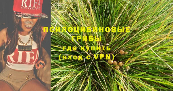 МДПВ Богданович