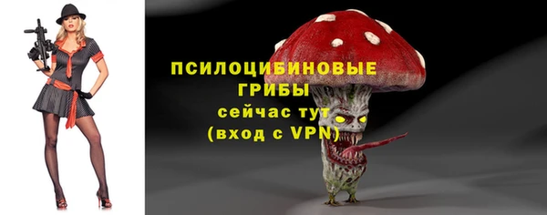 МДПВ Богданович