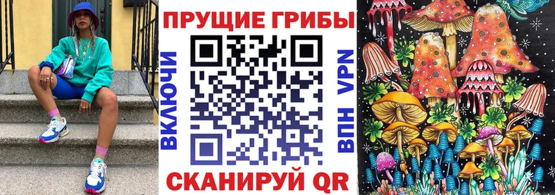 Псилоцибиновые грибы ЛСД  Богородск 